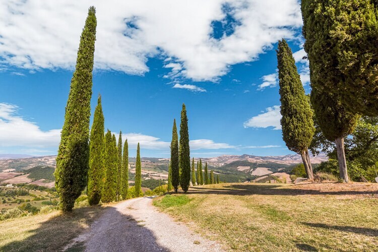Macetona - Suite, Une ferme entièrement rénovée pour 2 personnes en Toscane - Photo 34