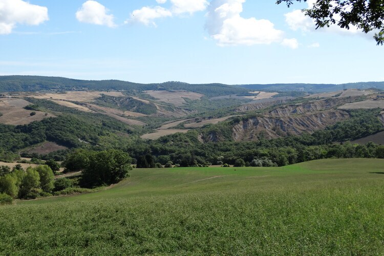 Macetona - Suite, Une ferme entièrement rénovée pour 2 personnes en Toscane - Photo 35