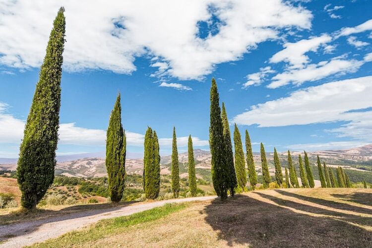 Macetona - Suite, Une ferme entièrement rénovée pour 2 personnes en Toscane - Photo 36