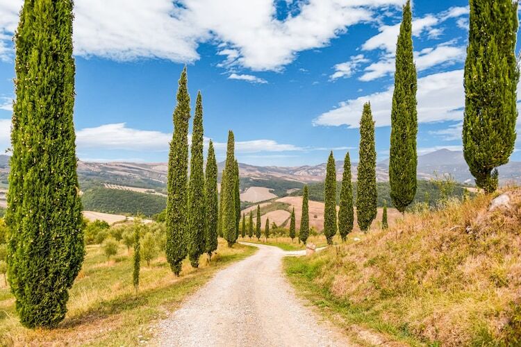 Macetona - Suite, Une ferme entièrement rénovée pour 2 personnes en Toscane - Photo 37