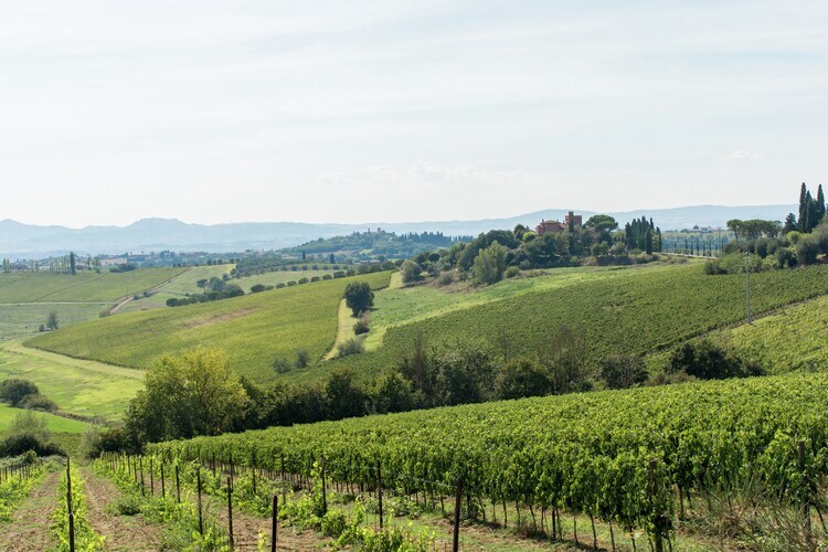 Chiaraquattro, maison familiale en Toscane avec piscine - Photo 35