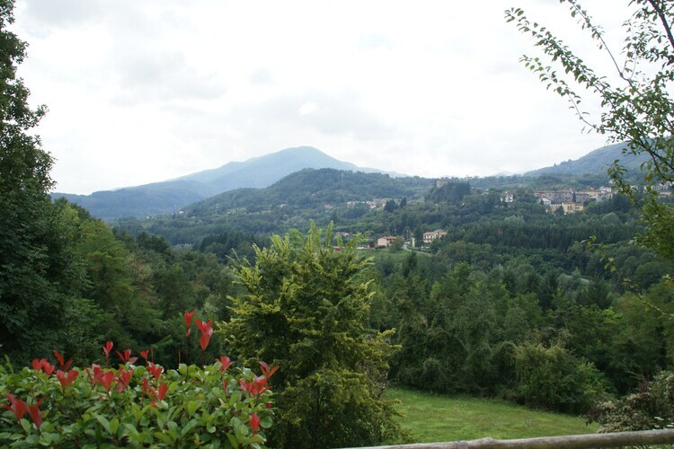 Villa Tortelli : piscine et four à pizza en Toscane - Photo 6