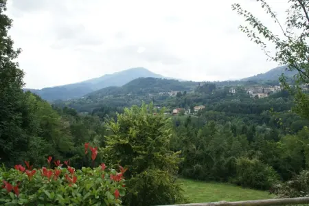 Villa Tortelli : piscine et four à pizza en Toscane : photo 6