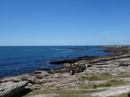 Studio vue océan Trouz Ar Mor, Quiberon - Photo 13