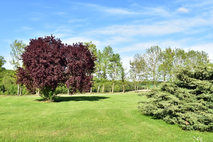 Ferme rustique 6 pers. avec lac privé, 5 hectares - Photo 29