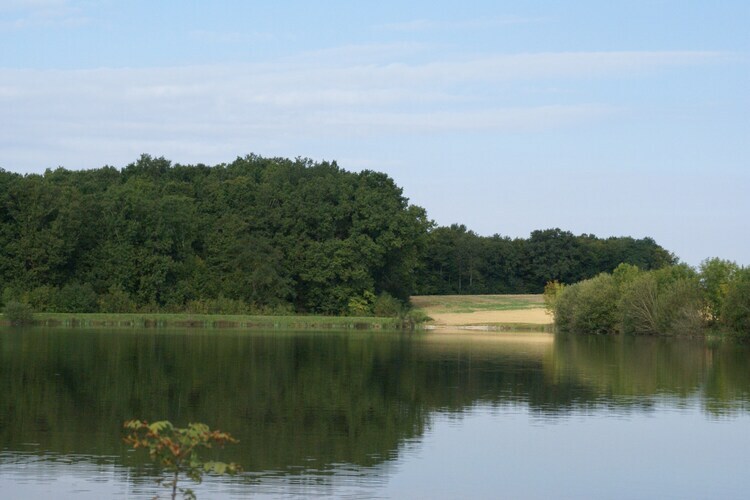 Ferme rustique 6 pers. avec lac privé, 5 hectares - Photo 31