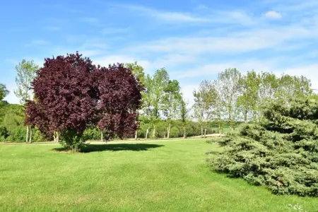 Ferme rustique 6 pers. avec lac privé, 5 hectares : photo 29