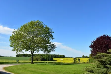 Ferme rustique 6 pers. avec lac privé, 5 hectares : photo 30