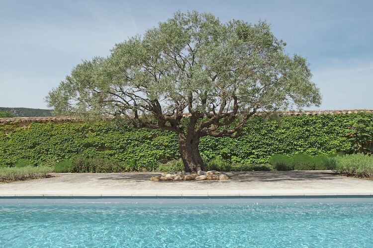 Mas Opideum, villa Provence 8 personnes, piscine privée - Photo 8