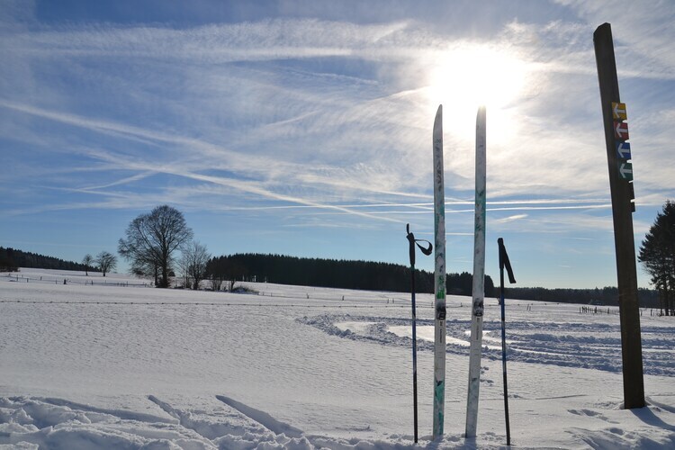 La Campanelle – Maison 10 pers. avec sauna à Odeigne - Photo 36