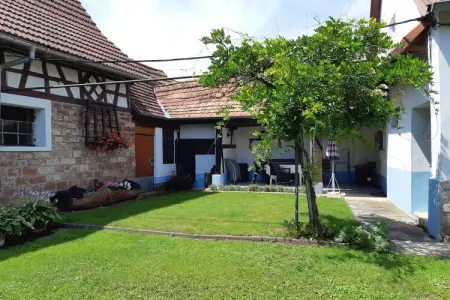 Maison Schleithal, jardin enfants et 6 vélos en Alsace Verte : photo 4