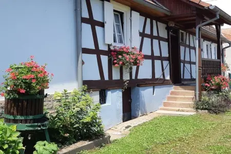 Maison Schleithal, jardin enfants et 6 vélos en Alsace Verte : photo 5