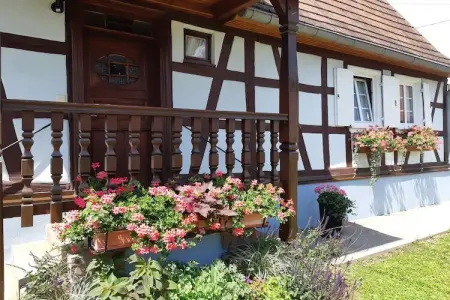 Maison Schleithal, jardin enfants et 6 vélos en Alsace Verte : photo 8