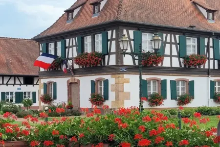 Maison Schleithal, jardin enfants et 6 vélos en Alsace Verte : photo 9