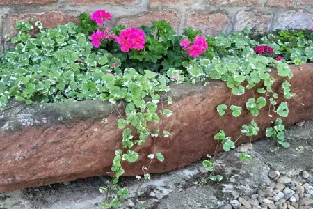 Maison Schleithal, jardin enfants et 6 vélos en Alsace Verte : photo 21