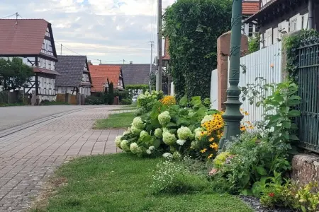 Maison Schleithal, jardin enfants et 6 vélos en Alsace Verte : photo 23