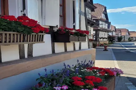 Maison Schleithal, jardin enfants et 6 vélos en Alsace Verte : photo 26