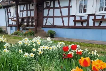 Maison Schleithal, jardin enfants et 6 vélos en Alsace Verte : photo 27