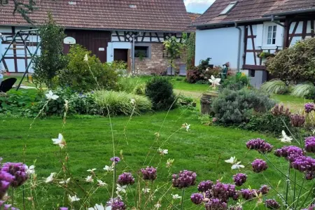 Maison Schleithal, jardin enfants et 6 vélos en Alsace Verte : photo 28