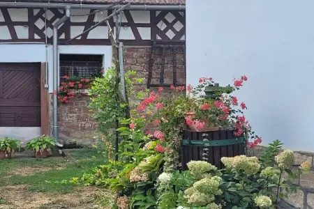 Maison Schleithal, jardin enfants et 6 vélos en Alsace Verte : photo 36