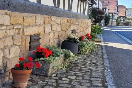 Maison Schleithal, jardin enfants et 6 vélos en Alsace Verte : photo 39
