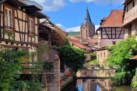 Maison Schleithal, jardin enfants et 6 vélos en Alsace Verte : photo 40