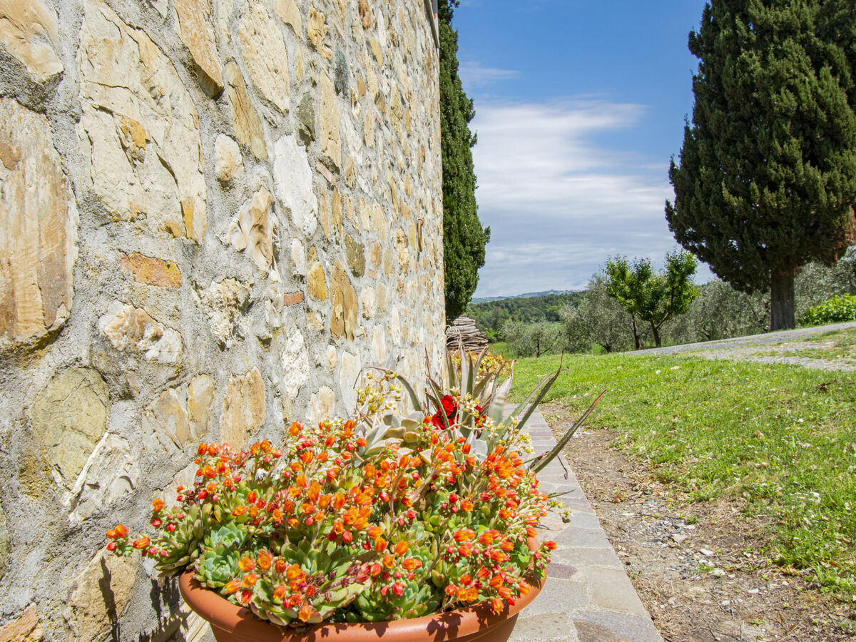 Il Sorbo – Gîte 4 pers. Pomarance, vue panoramique - Photo 18
