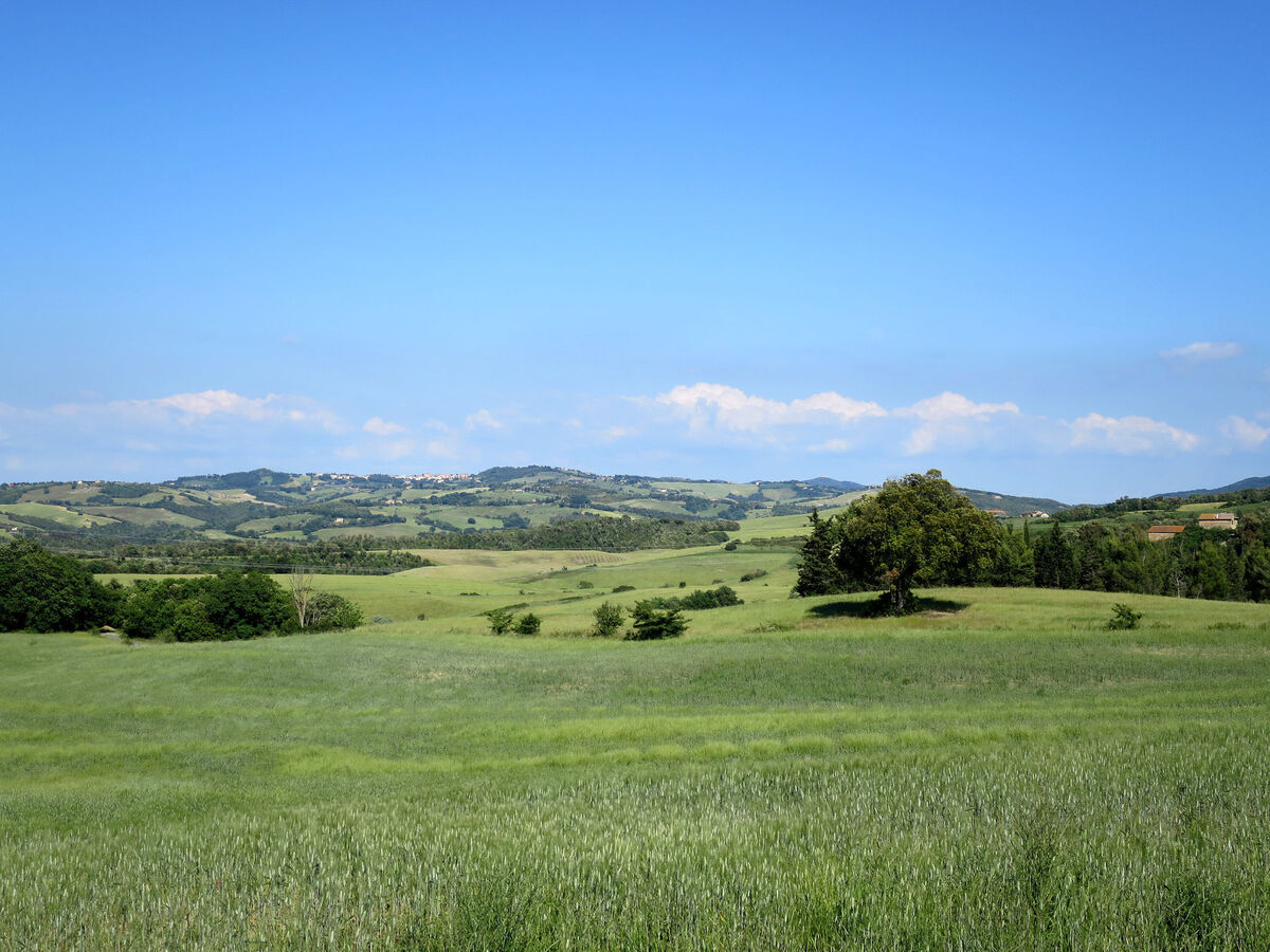 Il Sorbo – Gîte 4 pers. Pomarance, vue panoramique - Photo 22