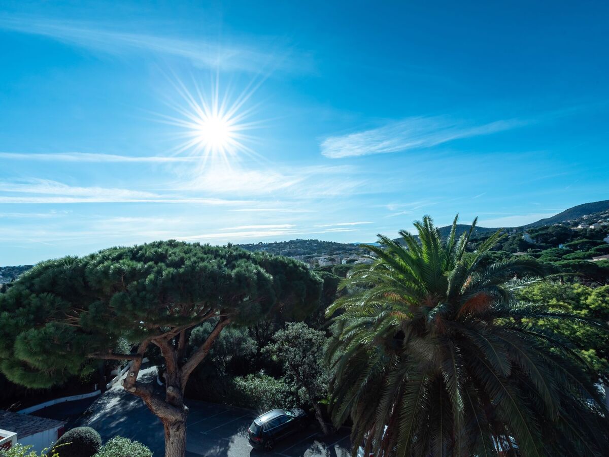 Apt Castel Haussmann – Terrasse mer à Cavalaire - Photo 19