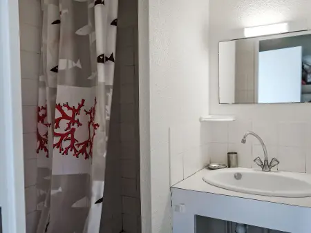 Plein Ciel – Appartement 2 pièces à 150 m de la plage : photo 13