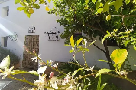 La Casa Vieja, Charmante retraite dans une ferme - Photo 12