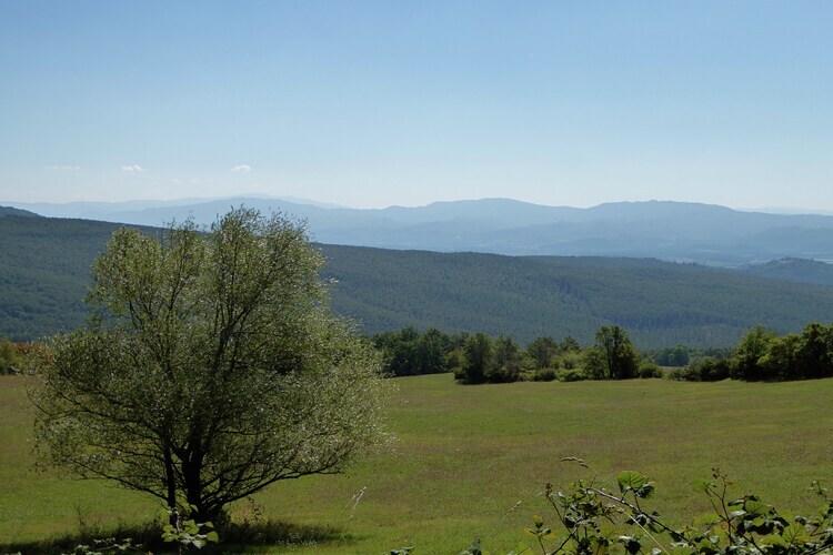 Quercia Undici – Maison 4 pers. piscine Mugello - Photo 22