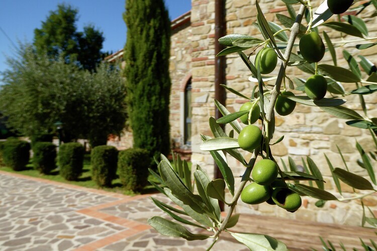 Quercia Undici – Maison 4 pers. piscine Mugello - Photo 26
