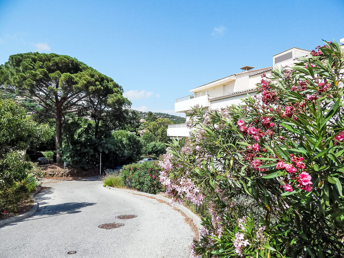 Apt 2 pièces Cap Marine, 1 km plage à Cavalaire - Photo 17