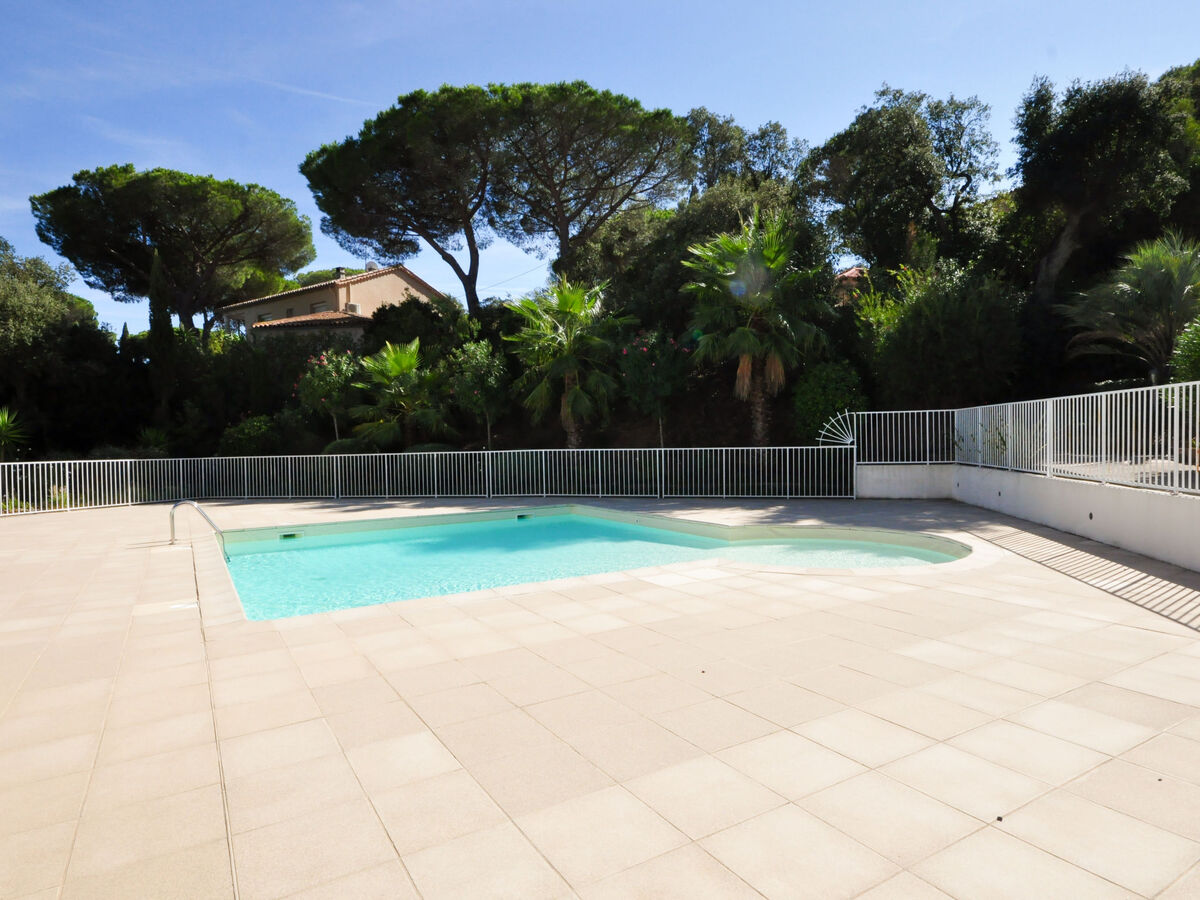 Apt 2 pièces Cap Marine, 1 km plage à Cavalaire - Photo 21
