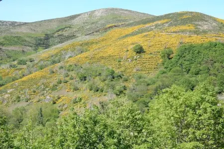 Maison climatisée en pierre 6 pers., 200 m du village : photo 24