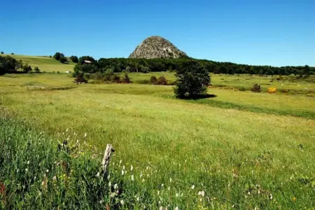Maison climatisée en pierre 6 pers., 200 m du village : photo 32