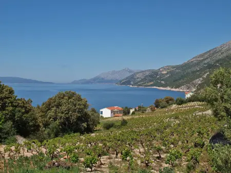 Maison Katica – 3 chambres, vue mer, 150 m plage : photo 14