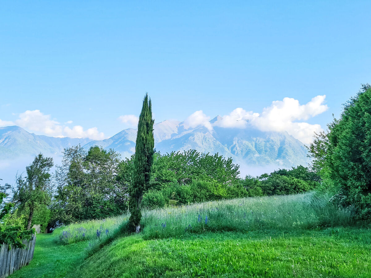 Appartement Maso Dolcevista – vue Dolomiti di Brenta - Photo 45