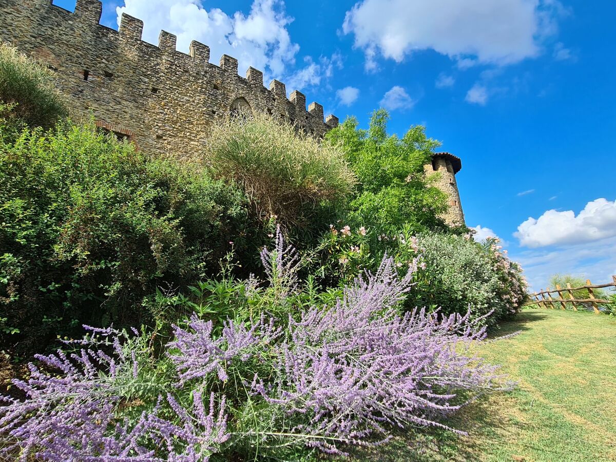 Gîte di Magnano, château du XIIIe siècle à Castell'Arquato - Photo 39