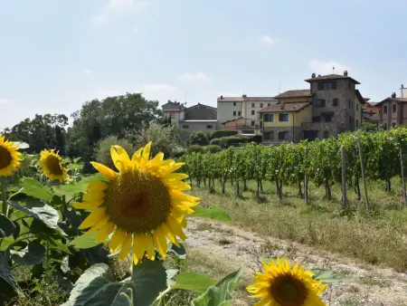 La Corte Bricca (Bilo C), Appartement 3 personnes à Oltrepò Pavese - Photo 16