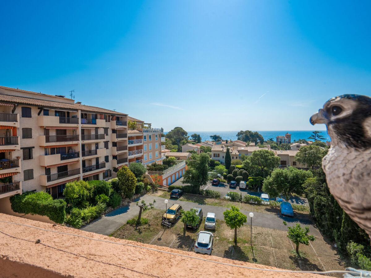Le Victoria, 2p 41 m² vue mer à Saint-Aygulf - Photo 5