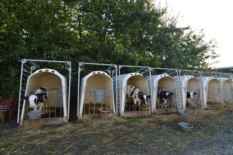 Ferme du Hoguet : maison 10 pers., jardin 1000 m², plage 2 km - Photo 19