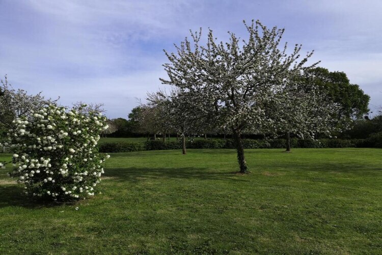 Ferme du Hoguet : maison 10 pers., jardin 1000 m², plage 2 km - Photo 36