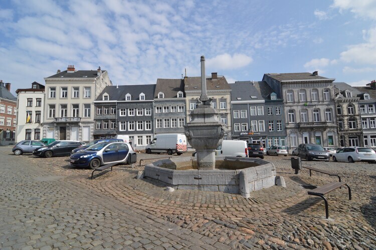 Le Jardin de Marjolaine – Villa 4 chambres Stavelot - Photo 39