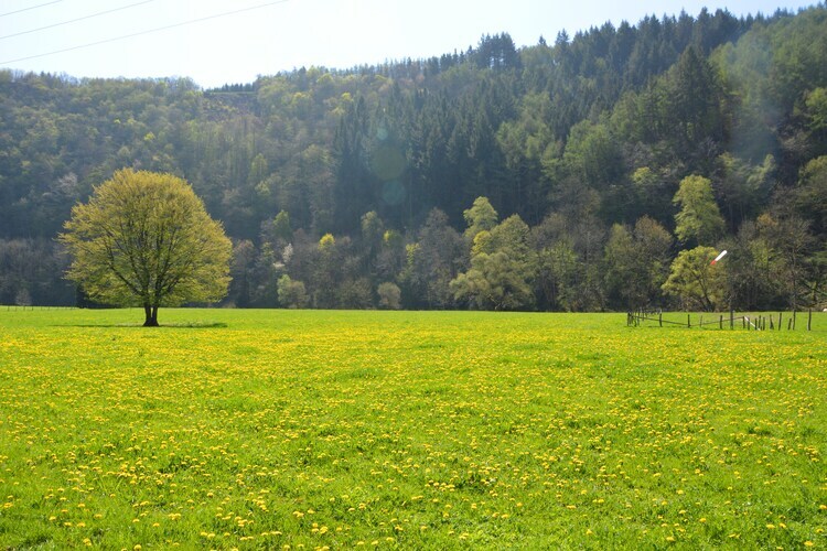 Goronne, maison de vacances dans une ferme active - Photo 36