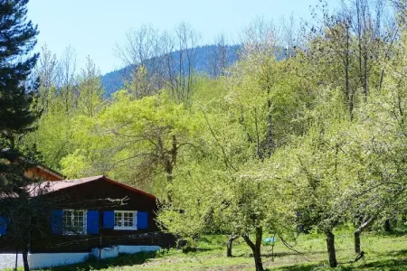 Maison rustique en montagne, jardin et calme à Roquefort-de-Sault : photo 19