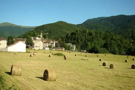 Maison rustique en montagne, jardin et calme à Roquefort-de-Sault : photo 21