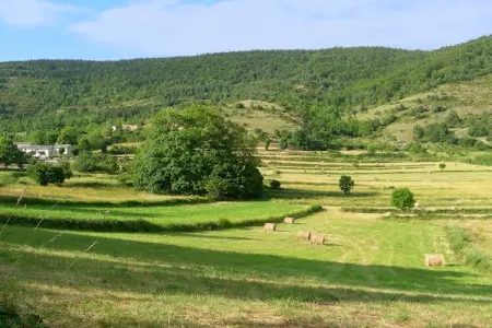Maison rustique en montagne, jardin et calme à Roquefort-de-Sault : photo 28