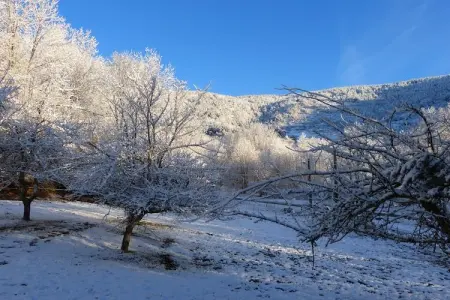 Maison rustique en montagne, jardin et calme à Roquefort-de-Sault : photo 34